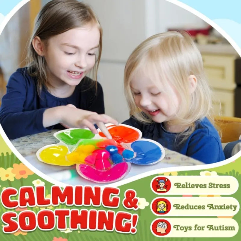 Montessori Color Sorting Sensory Toy With Colorful Balls