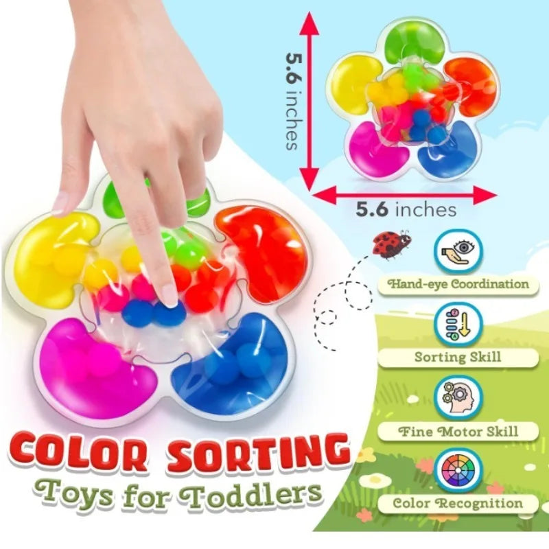 Montessori Color Sorting Sensory Toy With Colorful Balls
